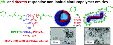 Graphical abstract: Stimulus-responsive non-ionic diblock copolymers: protonation of a tertiary amine end-group induces vesicle-to-worm or vesicle-to-sphere transitions