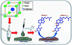 Graphical abstract: A nanostructured label-free platform based on an ultrathin film for ultrasensitive detection of a secosteroid hormone