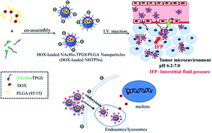 Graphical abstract: Acidity-triggered surface charge neutralization and aggregation of functionalized nanoparticles for promoted tumor uptake