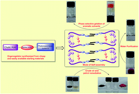 Graphical abstract: Amino acid appended cholic acid–azobenzene dyad: an effective & smart phase selective gelator for aromatic solvents