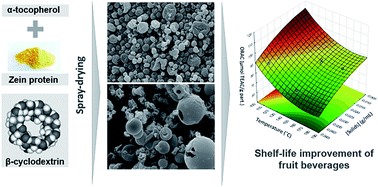 Graphical abstract: Microencapsulation of α-tocopherol with zein and β-cyclodextrin using spray drying for colour stability and shelf-life improvement of fruit beverages