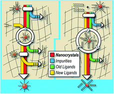 Graphical abstract: Gel permeation chromatography as a multifunctional processor for nanocrystal purification and on-column ligand exchange chemistry