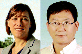 Graphical abstract: Biomaterials Science Emerging Investigators 2017