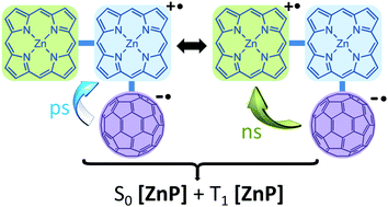 Graphical abstract: Increasing the lifetimes of charge separated states in porphyrin–fullerene polyads