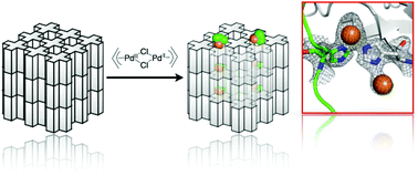 Graphical abstract: Structure of in cell protein crystals containing organometallic complexes