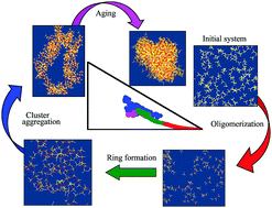 Graphical abstract: Polymerization kinetics of a multi-functional silica precursor studied using a novel Monte Carlo simulation technique