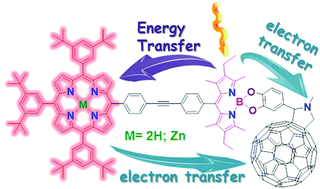 Graphical abstract: Application of the boron center for the design of a covalently bonded closely spaced triad of porphyrin-fullerene mediated by dipyrromethane