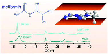 Graphical abstract: Intercalation of metformin into montmorillonite