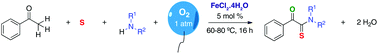 Graphical abstract: Methyl ketone break-and-rebuild: a strategy for full α-heterofunctionalization of acetophenones