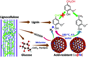 Graphical abstract: Co embedded within biomass-derived mesoporous N-doped carbon as an acid-resistant and chemoselective catalyst for transfer hydrodeoxygenation of biomass with formic acid