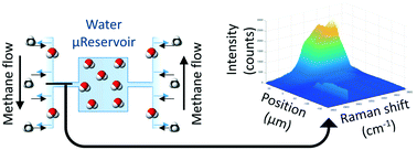Graphical abstract: Confined methane–water interfacial layers and thickness measurements using in situ Raman spectroscopy