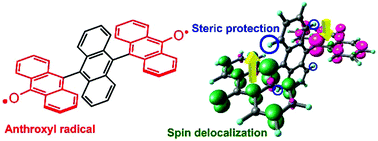 Graphical abstract: Anthroxyl-based biradical: toward the construction of highly stable multi-spin systems