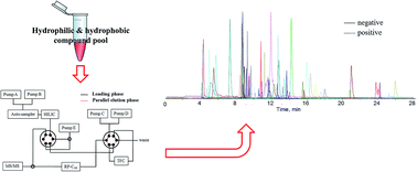 Graphical abstract: New instrumentation for large-scale quantitative analysis of components spanning a wide polarity range by column-switching hydrophilic interaction chromatography-turbulent flow chromatography-reversed phase liquid chromatography-tandem mass spectrometry