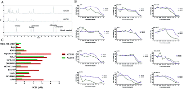 Graphical abstract: Aqueous extract of Cordyceps sinensis potentiates the antitumor effect of DDP and attenuates therapy-associated toxicity in non-small cell lung cancer via IκBα/NFκB and AKT/MMP2/MMP9 pathways