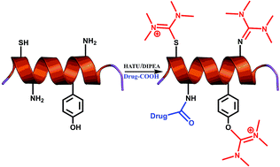 Graphical abstract: Unveiling and tackling guanidinium peptide coupling reagent side reactions towards the development of peptide-drug conjugates