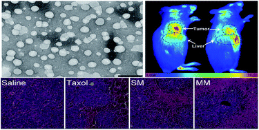 Graphical abstract: Paclitaxel prodrug based mixed micelles for tumor-targeted chemotherapy