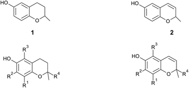 Graphical abstract: Natural 6-hydroxy-chromanols and -chromenols: structural diversity, biosynthetic pathways and health implications