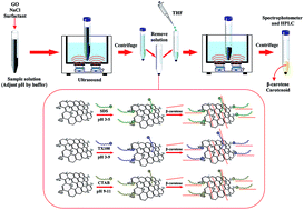 Graphical abstract: Determination of β-carotene and total carotenoids in fruit juices using surfactant surface decorated graphene oxide based ultrasound-assisted dispersive solid-phase microextraction