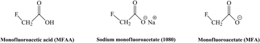 Graphical abstract: Ultra-trace determination of sodium fluoroacetate (1080) as monofluoroacetate in milk and milk powder by GC-MS/MS and LC-MS/MS