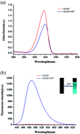 Graphical abstract: A novel intramolecular cyclization-induced fluorescent “turn-on” probe for detection of Pd2+ based on the Tsuji–Trost reaction