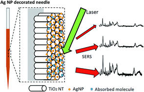 Graphical abstract: Surface-enhanced Raman scattering on a silver-coated TiO2 nanopore core needle biopsy for three dimensional chemical profiling