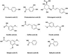 Graphical abstract: Two-dimensional analysis of phenolic acids in seedling roots by high performance liquid chromatography-electrospray ionization-ion mobility spectrometry