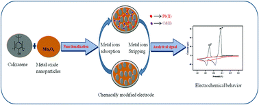 Graphical abstract: Fabrication of a new calix[4]arene-functionalized Mn3O4 nanoparticle-based modified glassy carbon electrode as a fast responding sensor towards Pb2+ and Cd2+ ions