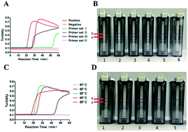 Graphical abstract: Visual detection of Zika virus by isothermal nucleic acid amplification combined with a lateral-flow device
