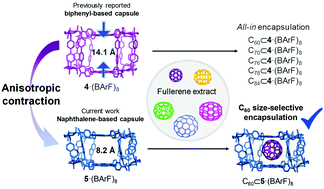 Graphical abstract: Size-selective encapsulation of C60 and C60-derivatives within an adaptable naphthalene-based tetragonal prismatic supramolecular nanocapsule