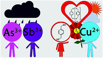 Graphical abstract: Copper(ii) serves as an efficient additive for metal-directed self-assembly of over 20 thiacyclophanes