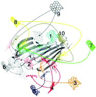 Graphical abstract: In silico study of Bombyx mori fibroin enhancement by graphene in acidic environment
