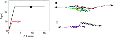 Graphical abstract: Trimeric coiled coils expand the range of strength, toughness and dynamics of coiled coil motifs under shear