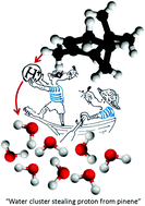 Graphical abstract: Proton transfer from pinene stabilizes water clusters