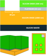 Graphical abstract: Functionalised microscale nanoband edge electrode (MNEE) arrays: the systematic quantitative study of hydrogels grown on nanoelectrode biosensor arrays for enhanced sensing in biological media