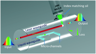 Graphical abstract: Optofluidic gutter oil discrimination based on a hybrid-waveguide coupler in fibre