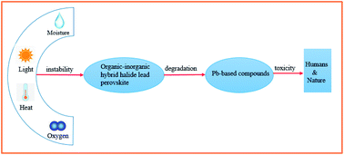 Graphical abstract: Will organic–inorganic hybrid halide lead perovskites be eliminated from optoelectronic applications?