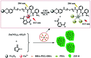 Graphical abstract: Luminescent magnetic nanoparticles encapsulated in MOFs for highly selective and sensitive detection of ClO−/SCN− and anti-counterfeiting