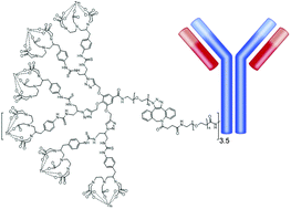 Graphical abstract: Modular synthesis and modification of novel bifunctional dendrons