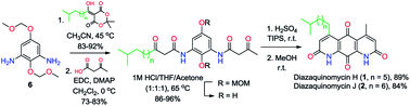 Graphical abstract: Total synthesis of diazaquinomycins H and J using double Knorr cyclization in the presence of triisopropylsilane