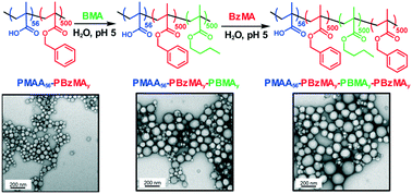 Graphical abstract: Optimization of the high-throughput synthesis of multiblock copolymer nanoparticles in aqueous media via polymerization-induced self-assembly