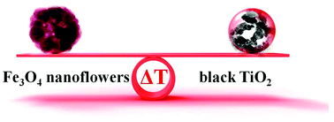 Graphical abstract: Controllable synthesis of Fe3O4 nanoflowers: enhanced imaging guided cancer therapy and comparison of photothermal efficiency with black-TiO2