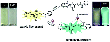 Graphical abstract: A new ‘turn-on’ and reversible fluorescent sensor for Al3+ detection and live cell imaging