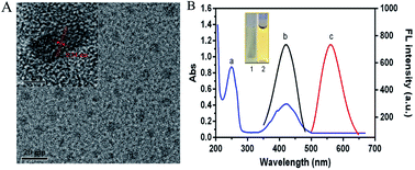 Graphical abstract: A one-step synthesis of novel high pH-sensitive nitrogen-doped yellow fluorescent carbon dots and their detection application in living cells