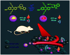 Graphical abstract: A photo-stable and reversible pH-responsive nano-agent based on the NIR phenazine dye for photoacoustic imaging-guided photothermal therapy