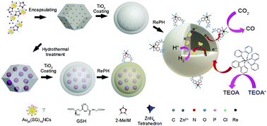 Graphical abstract: A robust photocatalyst of Au25@ZIF-8@TiO2-ReP with dual photoreductive sites to promote photoelectron utilization in H2O splitting to H2 and CO2 reduction to CO