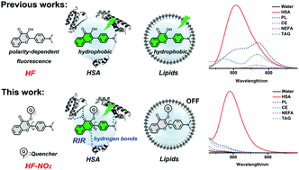 Graphical abstract: A flavonoid-based fluorescent probe enables the accurate quantification of human serum albumin by minimizing the interference from blood lipids