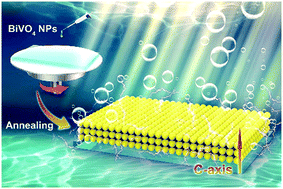Graphical abstract: Preparation of textured and transparent BiVO4 photoelectrodes based on Mo-doped BiVO4 nanoparticles for constructing a stand-alone tandem water splitting device