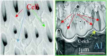 Graphical abstract: Cleavage of alumina cells in organic acid solutions during high voltage anodization