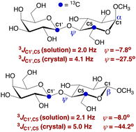 Graphical abstract: 13C–13C spin-coupling constants in crystalline 13C-labeled saccharides: conformational effects interrogated by solid-state 13C NMR spectroscopy
