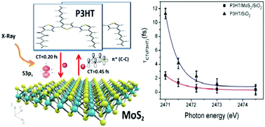 Graphical abstract: Species selective charge transfer dynamics in a P3HT/MoS2 van der Waals heterojunction: fluorescence lifetime microscopy and core hole clock spectroscopy approaches